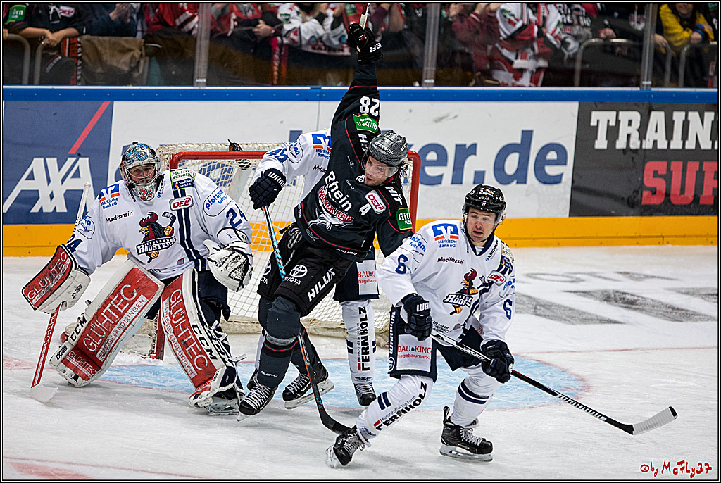 Koelner Haie - Iserlohn Roosters, 09.10.2016